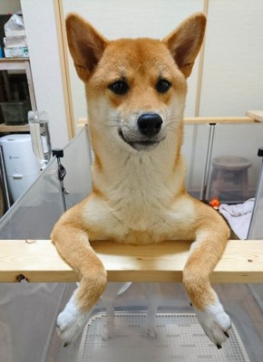 ツッコミ