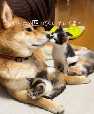 お母さん