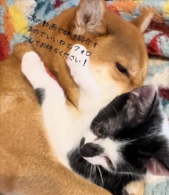 寝かしつけ