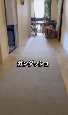 何を持ってきてくれるかな？
