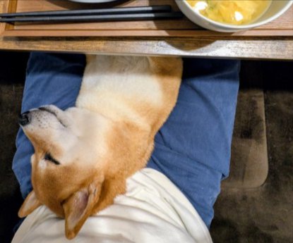さまざまな
