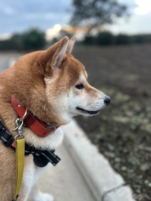素敵な横顔