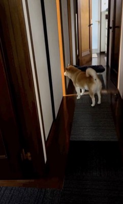 じーっ…