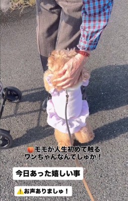 おばあちゃんもメロメロに!