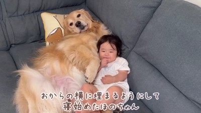 豪快な寝姿の2人にホッコリ