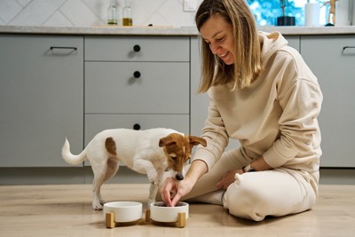 犬に食事を与える女性