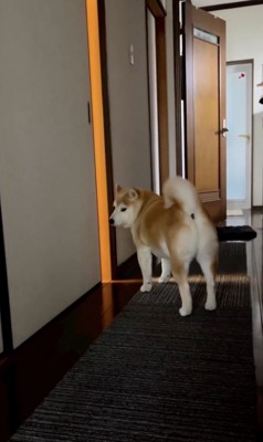 くるっ