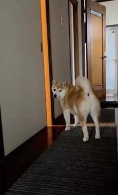 「あ、ママ」