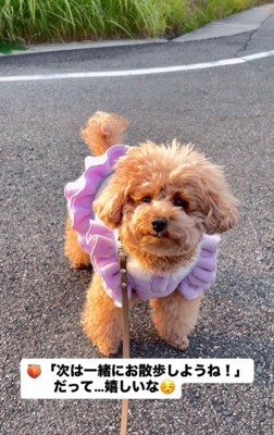 友達が増えて嬉しいね!