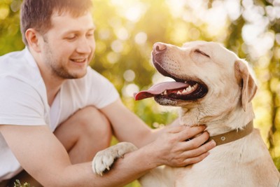 男性に撫でられる笑顔の犬