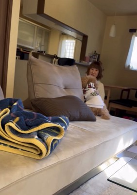 ママの方へ向かう犬