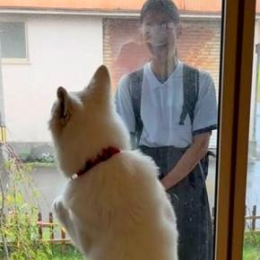 朝、学校に行こうとする女の子→窓越しに『大型犬』が…引きとめたくて見せた『まさかの行動』が話題「可愛いｗ」「お姉ちゃん、犬の愛で欠席」