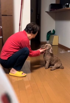 顎の下を撫でる