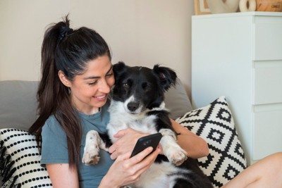 ソファでくつろぐ犬と女性