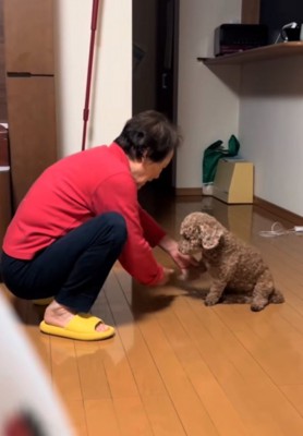 おかわりを教える