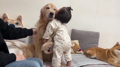 優しく受け止めるおからちゃん