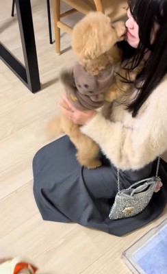 モコちゃんと飼い主さんの再会3