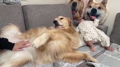 おからちゃんの隣で真似っ子