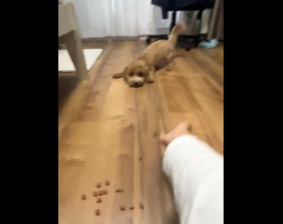 唯一の方法