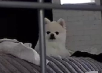 ハッ