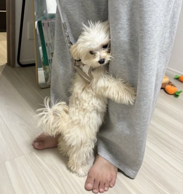 上着を