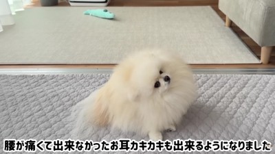 カキカキも出来るように!