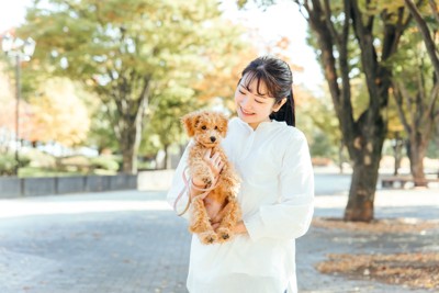 抱っこされる犬