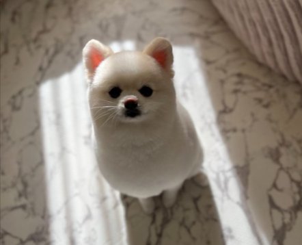 あざとさ