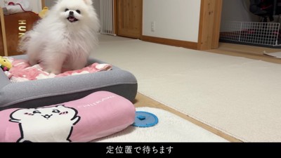 定位置に移動