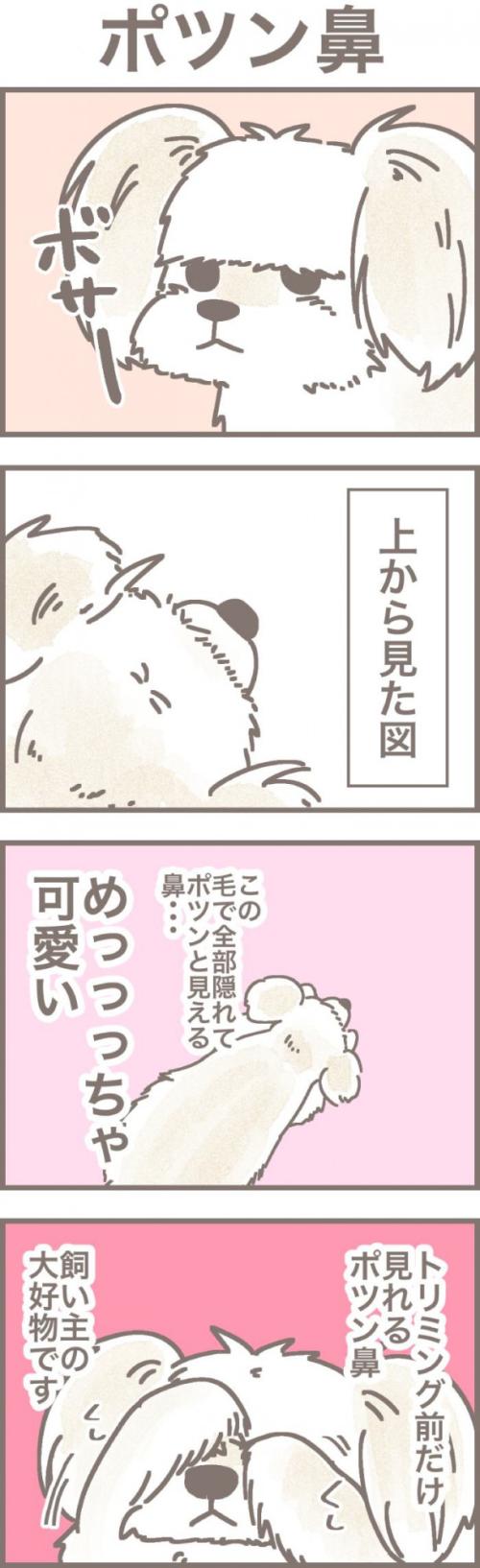 うちの王様にはどうしても抗えない【第330話】