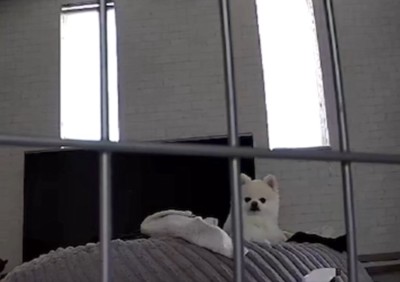 カメラ