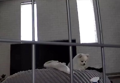 犯人