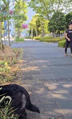 パパがやってきた！