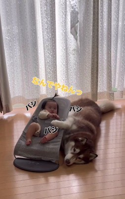 赤ちゃんからもダメ出し