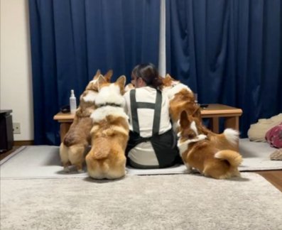 おちりーず