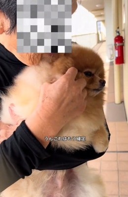 おばあちゃんに抱っこされるちょっちゃん