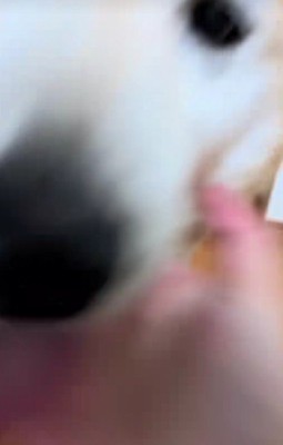 大歓喜する姿にホッコリ