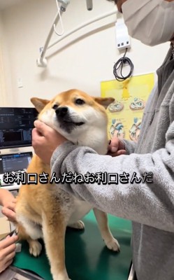 鳴いてしまうあーちゃん