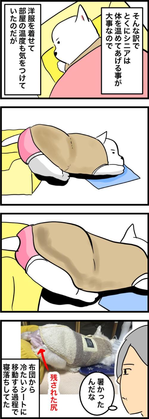 ちーちゃんですけどもっ【第335話】２