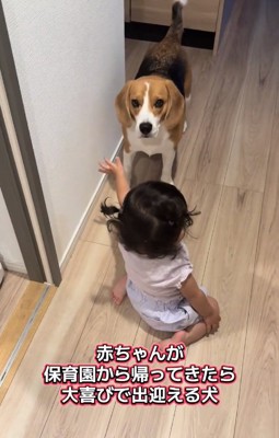 ママを見るまめたくん