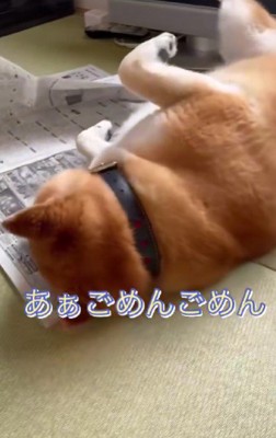 体を起こすのは面倒!?