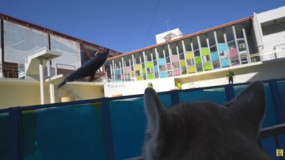 迫力満点のジャンプ!!