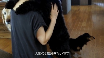 サイレンが鳴った時のルークくん4