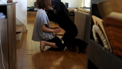 サイレンが鳴った時のルークくん5