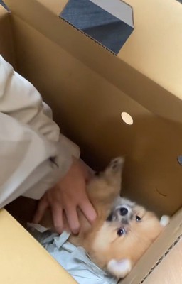 将来は大物になりそう!