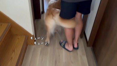 「どこに行ってたの~!」