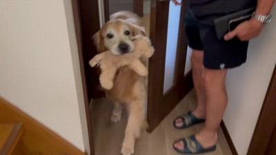 開けた途端に飛び出した!!