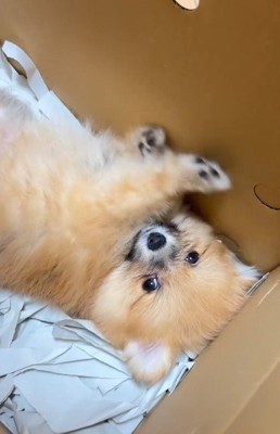 「ふわ~もう着いた?」