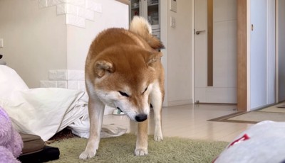げぷっ