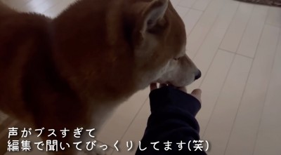 おはよう〜